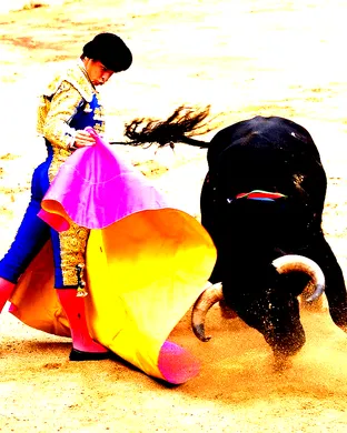 American Bull Fighting