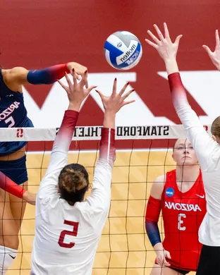 Arizona Wildcats Volleyball Boulder