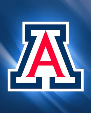 Arizona Wildcats Boulder