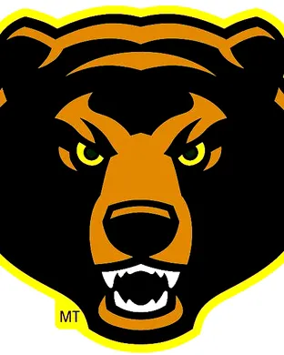 Baylor Bears Boulder