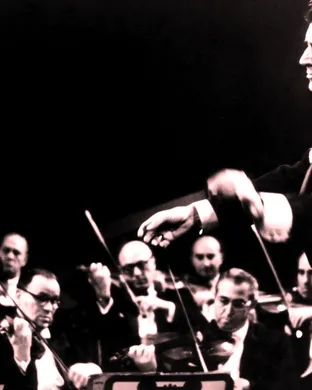 Bernstein Denver