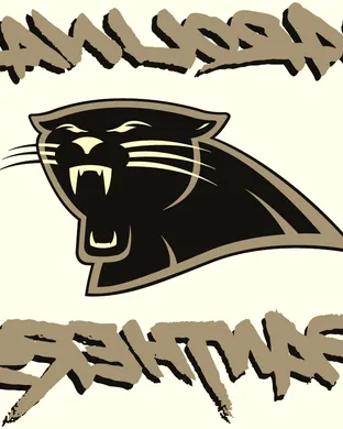 Carolina Panthers vs. Denver Broncos