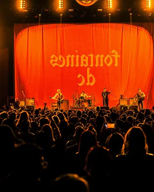 Fontaines Dc Morrison