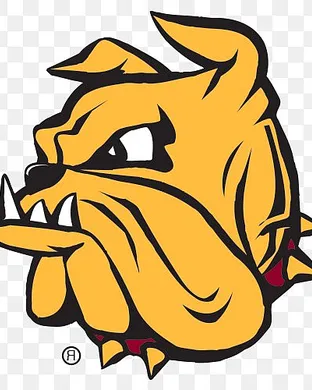 Minnesota Duluth Bulldogs Hockey Duluth