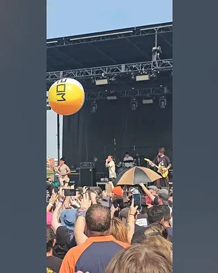 Silly Goose Denver