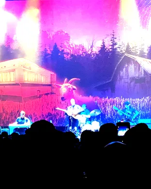 Tyler Childers