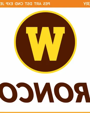 Western Michigan Broncos vs. Denver Pioneers Hockey